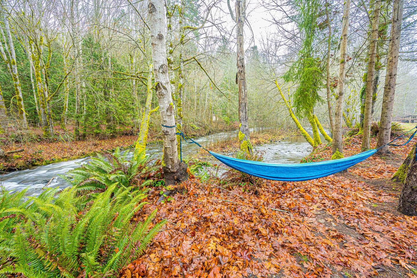 Rivers Edge:river side tiny home, photo 8