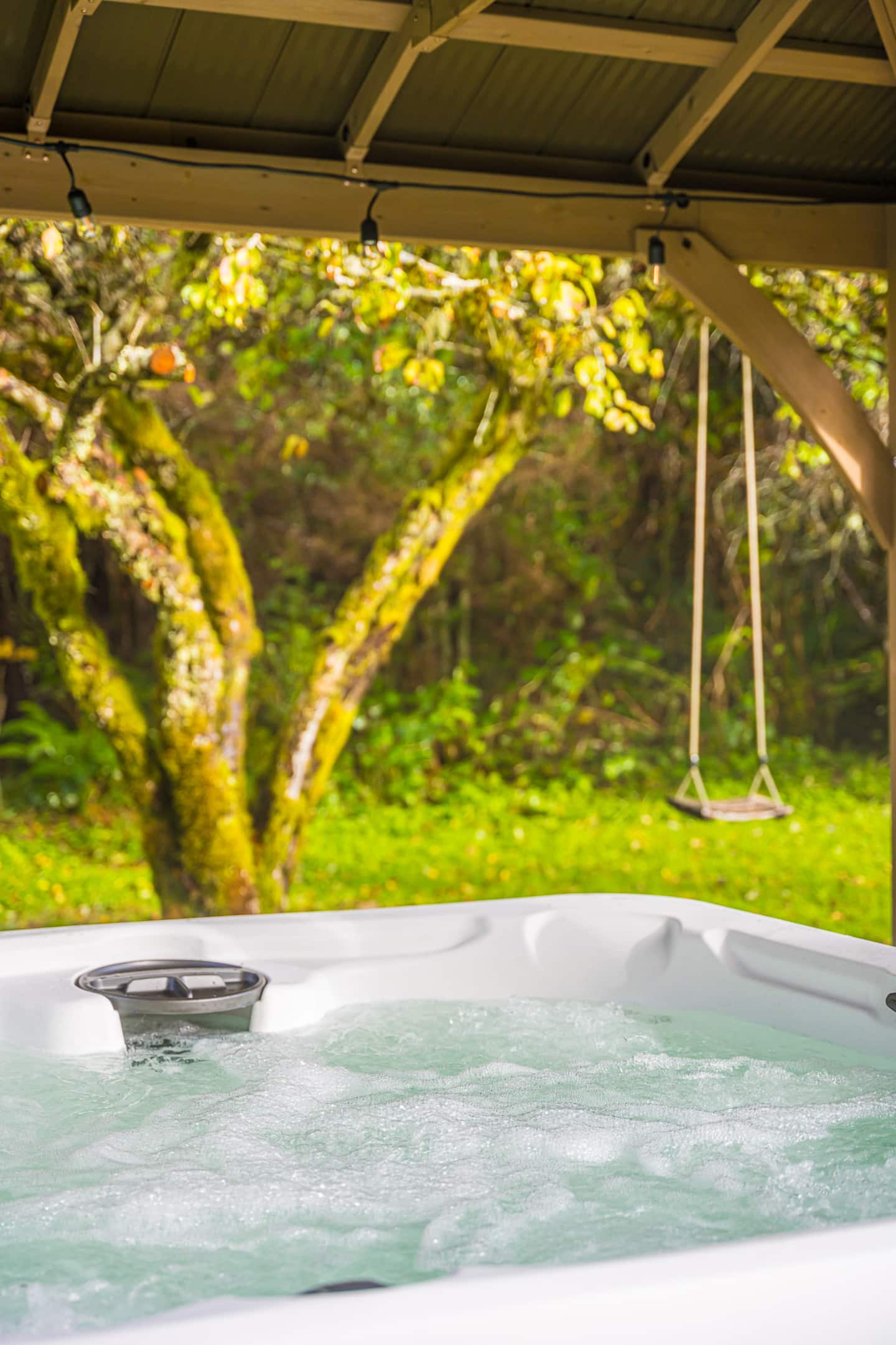 Beaver's Den: Private & Cozy Experience — tiny home vacation rental in Beaver, WA near Olympic National Park, photo 3